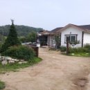 뜰원 | 6월의 나의 터전