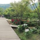 인천대공원 티스토리