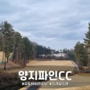 양지빌딩 | [양지파인CC 라운딩 후기] 수도권 접근성 좋음? 대신 이것은 감수해야 합니다...