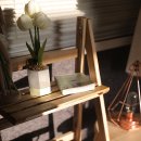 핀란드의아침 이미지