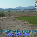 다모아농장 이미지