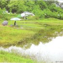 주생면 낙동마을 이미지