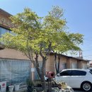 복두부집 이미지