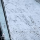 댕댕이버스 이미지