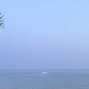 풀베이커리 - 합천군 초계중앙로 118 | 풀베이커리