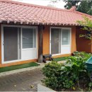 엄마와 까치집 두개 이미지