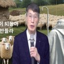 떠나간 양들이 되돌아올 수 있는 우리를 만들라(시편 23:1-6) 해운대숨쉬는교회 5월5일 주일강단 이미지