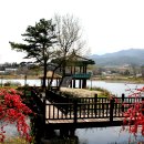 죽동체육공원 이미지