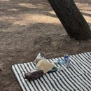 장사해수욕장(주차장 옆) 이미지