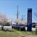 대부해솔길 6-2코스(순환코스) 이미지