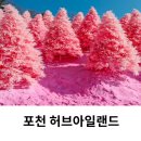 포천 허브아일랜드 아기랑 핑크 야간 입장료 시간 후기