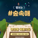 숲속애 이미지