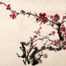 삼월 Daum카페