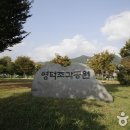 영덕 물가자미 전문점 이미지