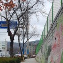 성지연꽃길 이미지