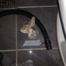 동익공인중개사사무소 이미지