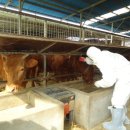 예천군민탁구장 탁구장 이미지