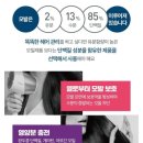 큐헤어 네이버블로그