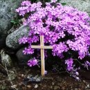 오포1동-17 이미지