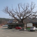 본의1리 마을회관 이미지