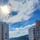 현대8호 이미지