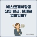 에스엔케이 | 에스엔케이항공 신입 월급, 실제로 얼마일까?