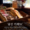 양지카페 에스제이 | 가성비 좋은 브런치 세트 후기