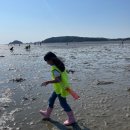 인천의 갯벌 이야기 | 인천 마시안어촌체험장 갯벌체험 후기｜서울·수원 근교 아이와 가볼만한곳 추천