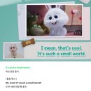 마이펫의 이중생활 | 리얼클래스 7개월차 구독후기 타일러 애니메이션 영어공부 마이펫의 이중생활
