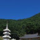 선달산민박 이미지