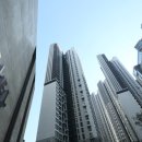 강남-271 이미지