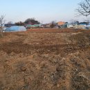 목화농원 이미지