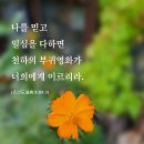 믿음 이미지