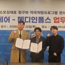 메디인폴스