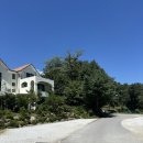 스테이카멜7 이미지