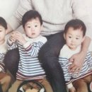 만세 Daum카페