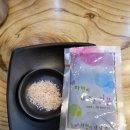 심마니산약초산삼백숙 이미지