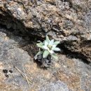 선사진실 이미지