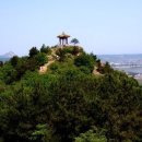 일송정 Daum카페