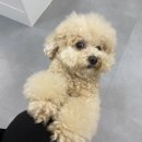 츄네일 이미지