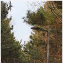 논현포대근린공원3 이미지