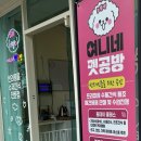 여니네펫공방 네이버블로그