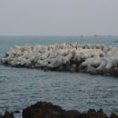 대송프라자
