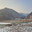 금거1리 이미지