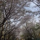 금곡로11번길 이미지