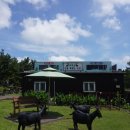 토종흑염소 이미지