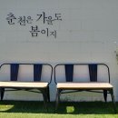 춘천고을닭갈비 이미지