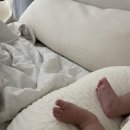 애리스커피펙스코