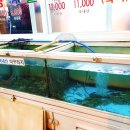 톳고개로 이미지