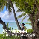 사이판 마나가하섬 거북이호핑 페러세일링 풀데이 투어